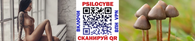 Галлюциногенные грибы GOLDEN TEACHER  купить закладку  Кувшиново 